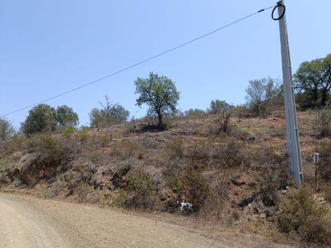 TERRENO RUSTICO COM 10.320 M2 PRÓXIMO A ALMADA D'OURO EM CASTRO MARIM - ALGARVE