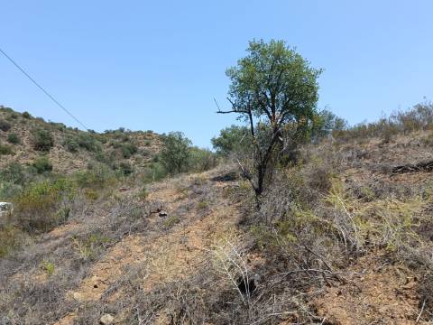 TERRENO RUSTICO COM 10.320 M2 PRÓXIMO A ALMADA D'OURO EM CASTRO MARIM - ALGARVE