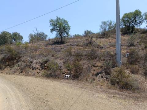 TERRENO RUSTICO COM 10.320 M2 PRÓXIMO A ALMADA D'OURO EM CASTRO MARIM - ALGARVE