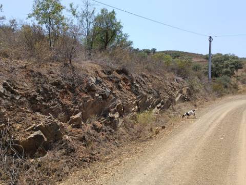 TERRENO RUSTICO COM 10.320 M2 PRÓXIMO A ALMADA D'OURO EM CASTRO MARIM - ALGARVE