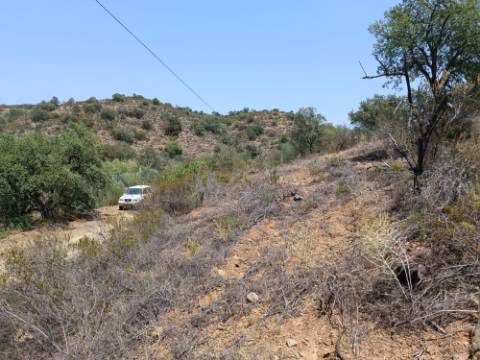 TERRENO RUSTICO COM 10.320 M2 PRÓXIMO A ALMADA D'OURO EM CASTRO MARIM - ALGARVE