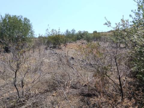 TERRENO RUSTICO COM 10.320 M2 PRÓXIMO A ALMADA D'OURO EM CASTRO MARIM - ALGARVE