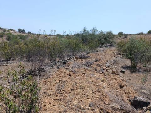 TERRENO RUSTICO COM 10.320 M2 PRÓXIMO A ALMADA D'OURO EM CASTRO MARIM - ALGARVE
