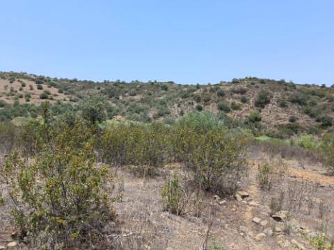 TERRENO RUSTICO COM 10.320 M2 PRÓXIMO A ALMADA D'OURO EM CASTRO MARIM - ALGARVE