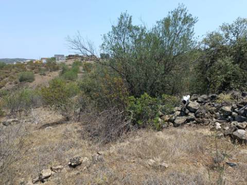 TERRENO RUSTICO COM 10.320 M2 PRÓXIMO A ALMADA D'OURO EM CASTRO MARIM - ALGARVE