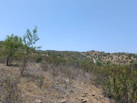 TERRENO RUSTICO COM 10.320 M2 PRÓXIMO A ALMADA D'OURO EM CASTRO MARIM - ALGARVE