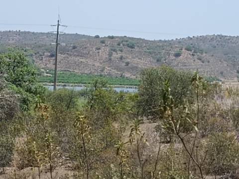 TERRENO RUSTICO COM 10.320 M2 PRÓXIMO A ALMADA D'OURO EM CASTRO MARIM - ALGARVE