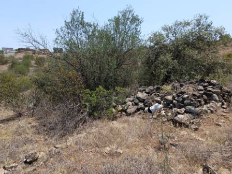 TERRENO RUSTICO COM 10.320 M2 PRÓXIMO A ALMADA D'OURO EM CASTRO MARIM - ALGARVE