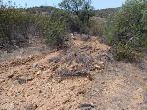 TERRENO RUSTICO COM 10.320 M2 PRÓXIMO A ALMADA D'OURO EM CASTRO MARIM - ALGARVE