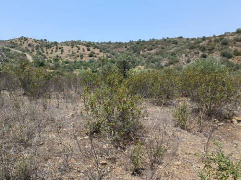 TERRENO RUSTICO COM 10.320 M2 PRÓXIMO A ALMADA D'OURO EM CASTRO MARIM - ALGARVE