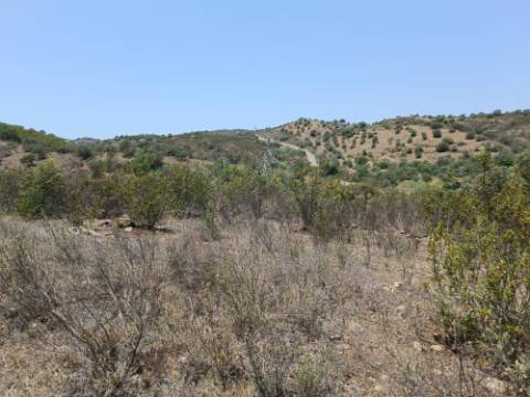 TERRENO RUSTICO COM 10.320 M2 PRÓXIMO A ALMADA D'OURO EM CASTRO MARIM - ALGARVE