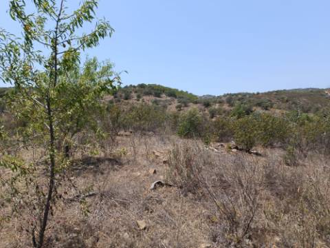 TERRENO RUSTICO COM 10.320 M2 PRÓXIMO A ALMADA D'OURO EM CASTRO MARIM - ALGARVE