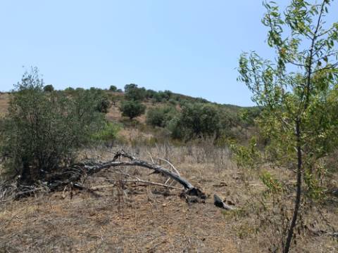 TERRENO RUSTICO COM 10.320 M2 PRÓXIMO A ALMADA D'OURO EM CASTRO MARIM - ALGARVE