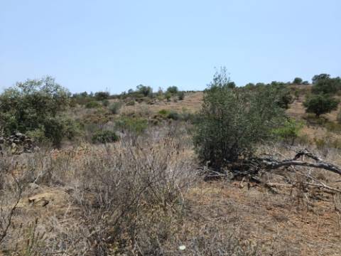 TERRENO RUSTICO COM 10.320 M2 PRÓXIMO A ALMADA D'OURO EM CASTRO MARIM - ALGARVE