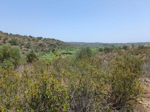 TERRENO RUSTICO COM 10.320 M2 PRÓXIMO A ALMADA D'OURO EM CASTRO MARIM - ALGARVE