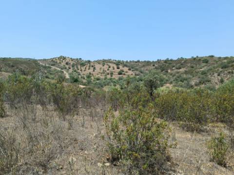 TERRENO RUSTICO COM 10.320 M2 PRÓXIMO A ALMADA D'OURO EM CASTRO MARIM - ALGARVE