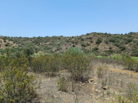 TERRENO RUSTICO COM 10.320 M2 PRÓXIMO A ALMADA D'OURO EM CASTRO MARIM - ALGARVE