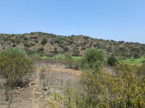 TERRENO RUSTICO COM 10.320 M2 PRÓXIMO A ALMADA D'OURO EM CASTRO MARIM - ALGARVE