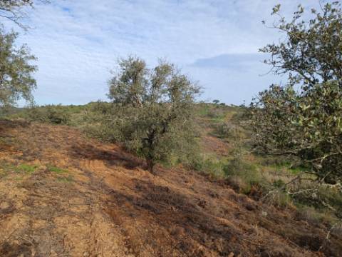 TERRENO RUSTICO COM 11.000 M2 - BONS ACESSOS - ALCARIAS GRANDES - CASTRO MARIM - ALGARVE