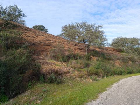 TERRENO RUSTICO COM 11.000 M2 - BONS ACESSOS - ALCARIAS GRANDES - CASTRO MARIM - ALGARVE