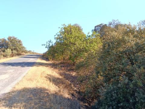 TERRENO RUSTICO COM 11.000 M2 - BONS ACESSOS - ALCARIAS GRANDES - CASTRO MARIM - ALGARVE