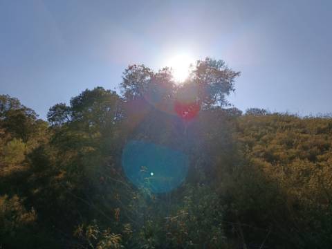 TERRENO RUSTICO COM 11.000 M2 - BONS ACESSOS - ALCARIAS GRANDES - CASTRO MARIM - ALGARVE