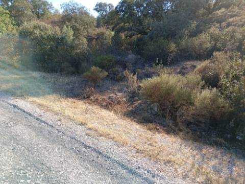 TERRENO RUSTICO COM 11.000 M2 - BONS ACESSOS - ALCARIAS GRANDES - CASTRO MARIM - ALGARVE