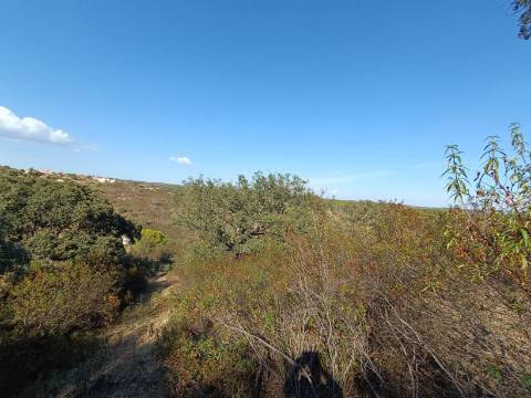 TERRENO RUSTICO COM 11.000 M2 - BONS ACESSOS - ALCARIAS GRANDES - CASTRO MARIM - ALGARVE