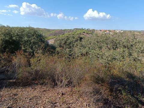 TERRENO RUSTICO COM 11.000 M2 - BONS ACESSOS - ALCARIAS GRANDES - CASTRO MARIM - ALGARVE