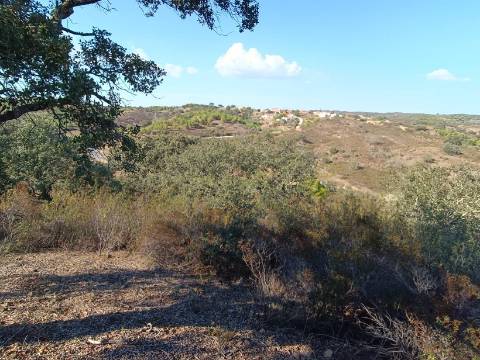 TERRENO RUSTICO COM 11.000 M2 - BONS ACESSOS - ALCARIAS GRANDES - CASTRO MARIM - ALGARVE