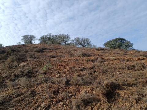 TERRENO RUSTICO COM 11.000 M2 - BONS ACESSOS - ALCARIAS GRANDES - CASTRO MARIM - ALGARVE