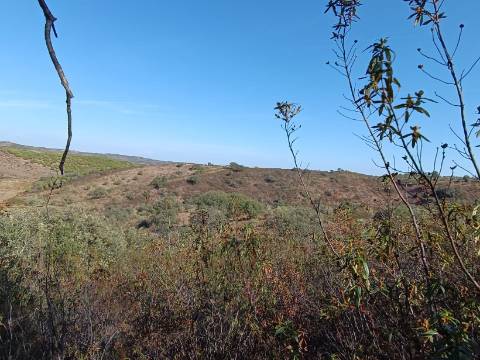 TERRENO RUSTICO COM 11.000 M2 - BONS ACESSOS - ALCARIAS GRANDES - CASTRO MARIM - ALGARVE