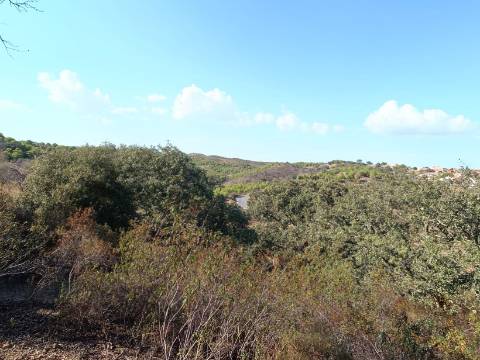 TERRENO RUSTICO COM 11.000 M2 - BONS ACESSOS - ALCARIAS GRANDES - CASTRO MARIM - ALGARVE