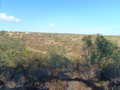 TERRENO RUSTICO COM 11.000 M2 - BONS ACESSOS - ALCARIAS GRANDES - CASTRO MARIM - ALGARVE