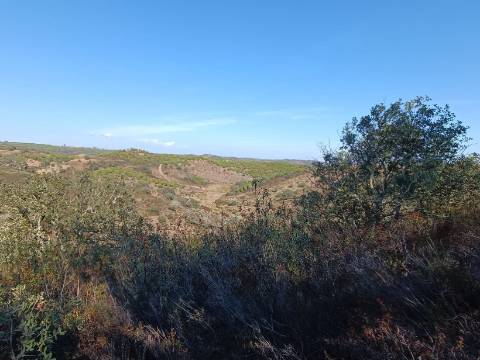 TERRENO RUSTICO COM 11.000 M2 - BONS ACESSOS - ALCARIAS GRANDES - CASTRO MARIM - ALGARVE