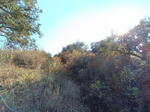 TERRENO RUSTICO COM 11.000 M2 - BONS ACESSOS - ALCARIAS GRANDES - CASTRO MARIM - ALGARVE