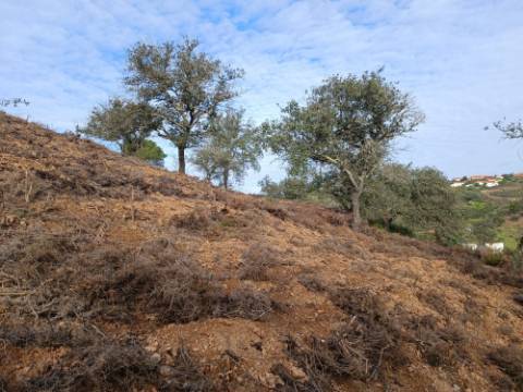 TERRENO RUSTICO COM 11.000 M2 - BONS ACESSOS - ALCARIAS GRANDES - CASTRO MARIM - ALGARVE