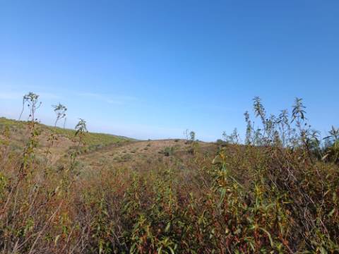 TERRENO RUSTICO COM 11.000 M2 - BONS ACESSOS - ALCARIAS GRANDES - CASTRO MARIM - ALGARVE