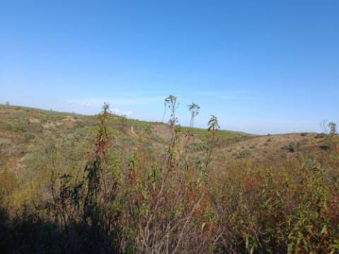 TERRENO RUSTICO COM 11.000 M2 - BONS ACESSOS - ALCARIAS GRANDES - CASTRO MARIM - ALGARVE