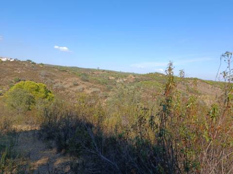 TERRENO RUSTICO COM 11.000 M2 - BONS ACESSOS - ALCARIAS GRANDES - CASTRO MARIM - ALGARVE