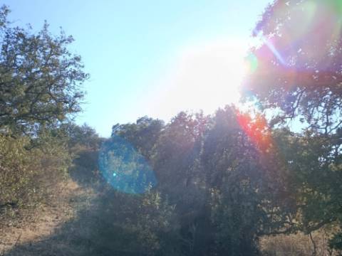 TERRENO RUSTICO COM 11.000 M2 - BONS ACESSOS - ALCARIAS GRANDES - CASTRO MARIM - ALGARVE