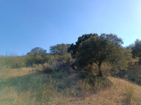 TERRENO RUSTICO COM 11.000 M2 - BONS ACESSOS - ALCARIAS GRANDES - CASTRO MARIM - ALGARVE