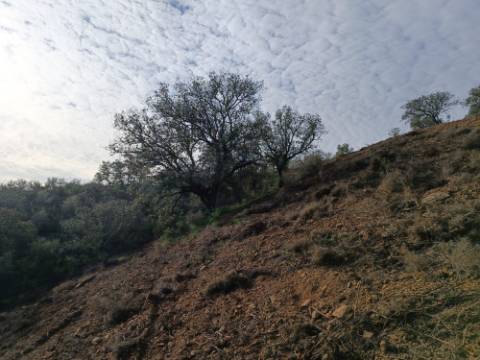 TERRENO RUSTICO COM 11.000 M2 - BONS ACESSOS - ALCARIAS GRANDES - CASTRO MARIM - ALGARVE