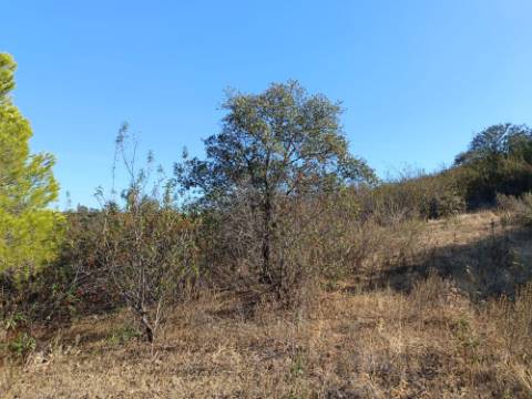 TERRENO RUSTICO COM 11.000 M2 - BONS ACESSOS - ALCARIAS GRANDES - CASTRO MARIM - ALGARVE