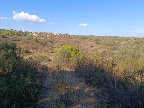 TERRENO RUSTICO COM 11.000 M2 - BONS ACESSOS - ALCARIAS GRANDES - CASTRO MARIM - ALGARVE