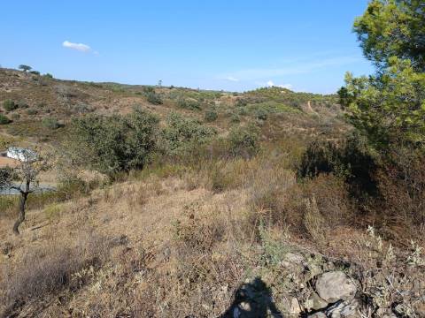 TERRENO RUSTICO COM 11.000 M2 - BONS ACESSOS - ALCARIAS GRANDES - CASTRO MARIM - ALGARVE