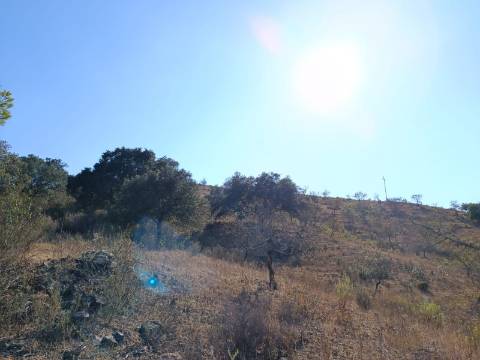 TERRENO RUSTICO COM 11.000 M2 - BONS ACESSOS - ALCARIAS GRANDES - CASTRO MARIM - ALGARVE