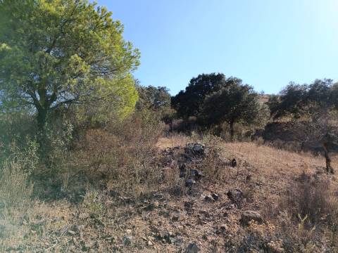 TERRENO RUSTICO COM 11.000 M2 - BONS ACESSOS - ALCARIAS GRANDES - CASTRO MARIM - ALGARVE