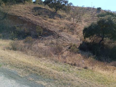 TERRENO RUSTICO COM 11.000 M2 - BONS ACESSOS - ALCARIAS GRANDES - CASTRO MARIM - ALGARVE