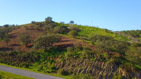 TERRENO RUSTICO COM 11.000 M2 - BONS ACESSOS - ALCARIAS GRANDES - CASTRO MARIM - ALGARVE